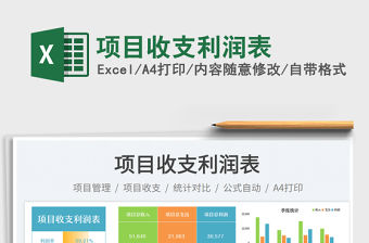 項目收支利潤表
