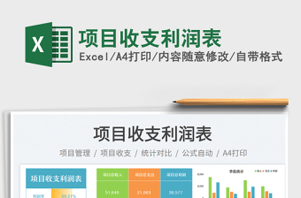 項目收支利潤表