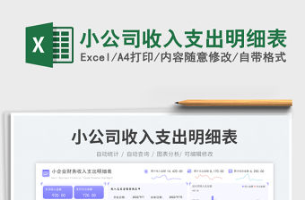 小公司收入支出明細(xì)表