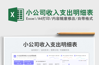 小公司收入支出明细表
