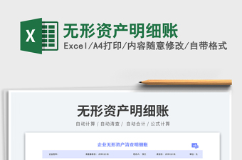 無(wú)形資產(chǎn)明細(xì)賬