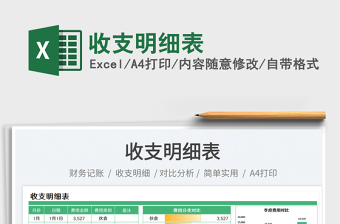 收支明細(xì)表