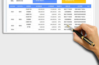 項(xiàng)目指標(biāo)分析表