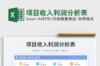 項目收入利潤分析表