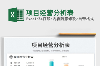 項(xiàng)目經(jīng)營(yíng)分析表