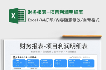 財務(wù)報表-項目利潤明細(xì)表