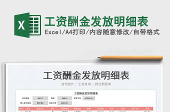工資酬金發(fā)放明細表