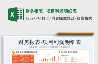 財(cái)務(wù)報(bào)表-項(xiàng)目利潤明細(xì)表