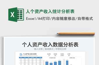人個(gè)資產(chǎn)收入統(tǒng)計(jì)分析表