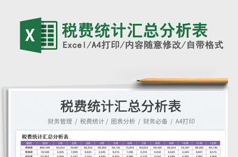 稅費(fèi)統(tǒng)計(jì)匯總分析表