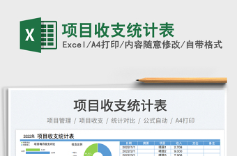 項目收支統(tǒng)計表