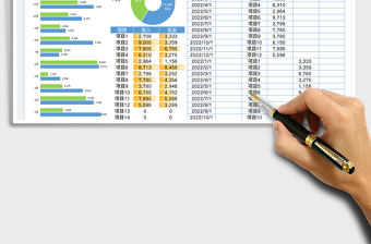 項目收支統(tǒng)計表