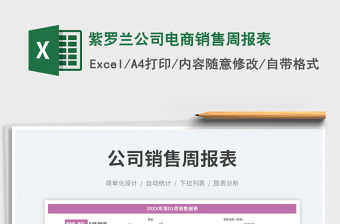 紫羅蘭公司電商銷售周報表