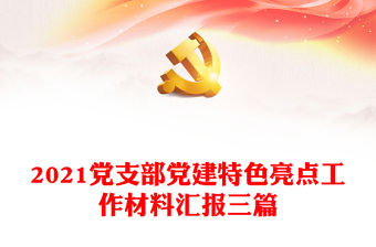 2021黨支部黨建特色亮點工作材料匯報三篇