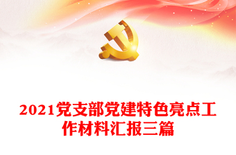 2021黨支部黨建特色亮點工作材料匯報三篇