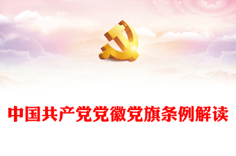 2022学习党徽党旗条例党支部大会会议纪要