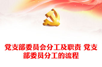 黨支部委員會分工及職責 黨支部委員分工的流程