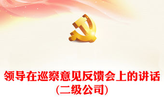 領導在巡察意見反饋會上的講話(二級公司)