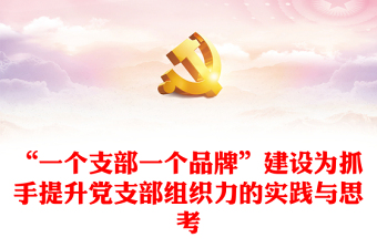 “一個支部一個品牌”建設為抓手提升黨支部組織力的實踐與思考