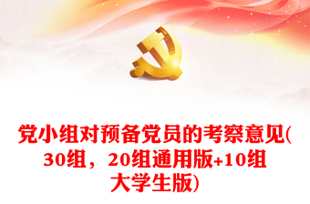 2023党小组组长汇报