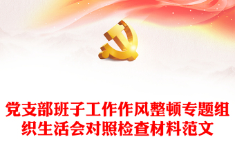 黨支部班子工作作風(fēng)整頓專(zhuān)題組織生活會(huì)對(duì)照檢查材料范文