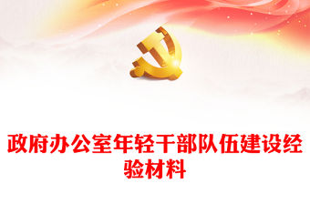 政府辦公室年輕干部隊伍建設(shè)經(jīng)驗材料