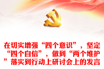 在切實(shí)增強(qiáng)“四個意識”，堅定“四個自信”，做到“兩個維護(hù)”落實(shí)到行動上研討會上的發(fā)言