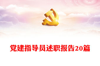 黨建指導員述職報告20篇