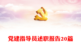 黨建指導(dǎo)員述職報(bào)告20篇