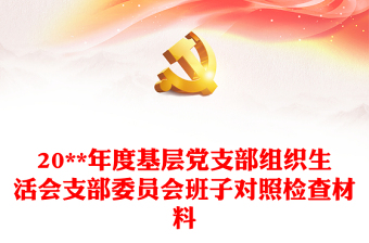 2022年度宁夏党支部组织生活会主题