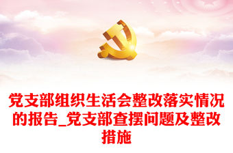 黨支部組織生活會整改落實情況的報告_黨支部查擺問題及整改措施