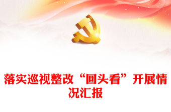 落實巡視整改“回頭看”開展情況匯報