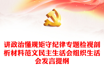 講政治懂規(guī)矩守紀(jì)律專題檢視剖析材料范文民主生活會(huì)組織生活會(huì)發(fā)言提綱