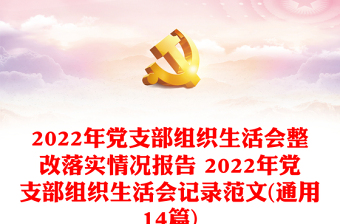 2022年党支部组织生活会书记总结