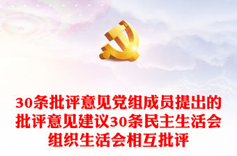 30條批評意見黨組成員提出的批評意見建議30條民主生活會組織生活會相互批評