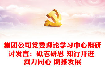 集團公司黨委理論學習中心組研討發言：砥志研思 知行并進 戮力同心 助推發展