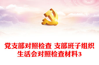 黨支部對照檢查 支部班子組織生活會對照檢查材料3