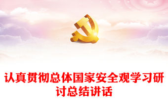 認真貫徹總體國家安全觀學習研討總結講話