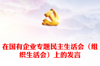 在國有企業(yè)專題民主生活會（組織生活會）上的發(fā)言