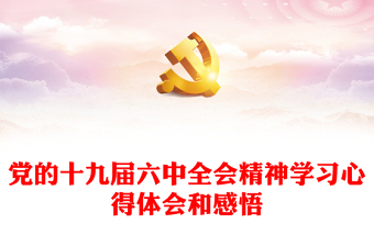 2021党的十九届六中全会精神学习宣贯总结