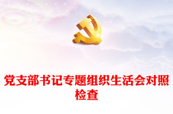 黨支部書記專題組織生活會對照檢查