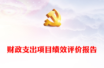 財政支出項目績效評價報告