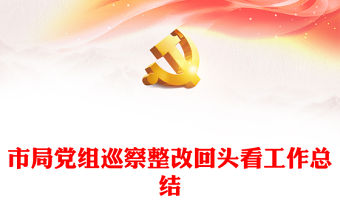 市局黨組巡察整改回頭看工作總結