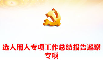 選人用人專項工作總結(jié)報告巡察專項