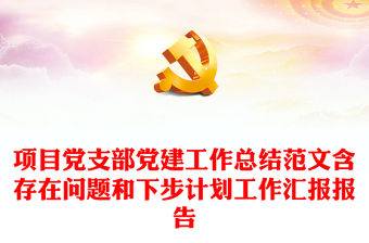 項目黨支部黨建工作總結(jié)范文含存在問題和下步計劃工作匯報報告