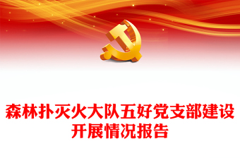 森林撲滅火大隊五好黨支部建設(shè)開展情況報告