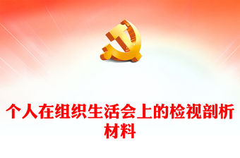個(gè)人在組織生活會(huì)上的檢視剖析材料
