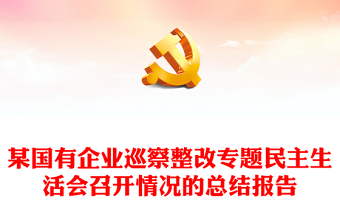 某國有企業(yè)巡察整改專題民主生活會召開情況的總結(jié)報告