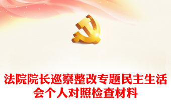 法院院長巡察整改專題民主生活會個人對照檢查材料