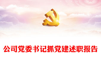 公司黨委書記抓黨建述職報告